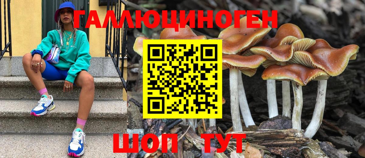 Псилоцибиновые грибы мухоморы Шелехов