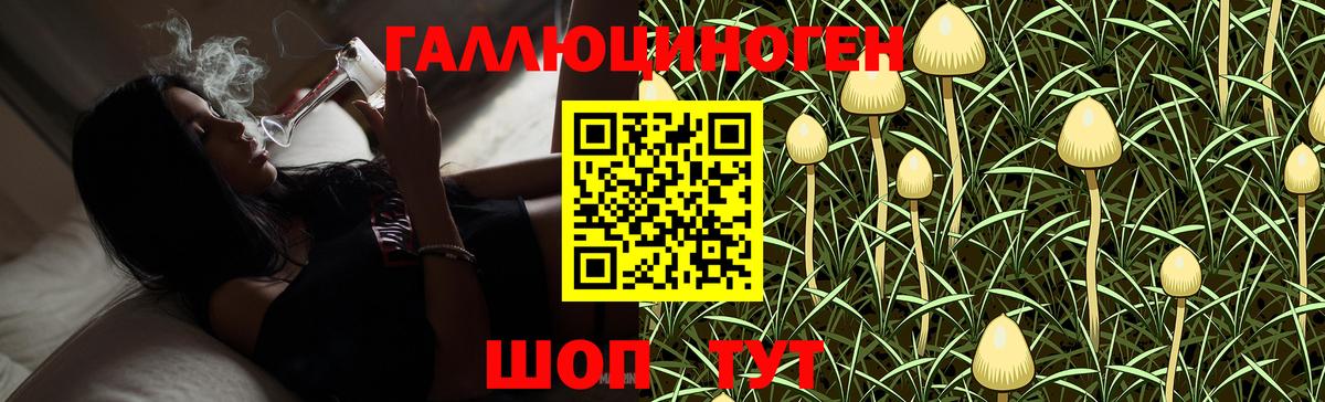 Галлюциногенные грибы мицелий  Вход с VPN  Шелехов 